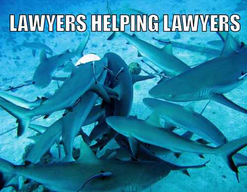 Abogados ayudando abogados