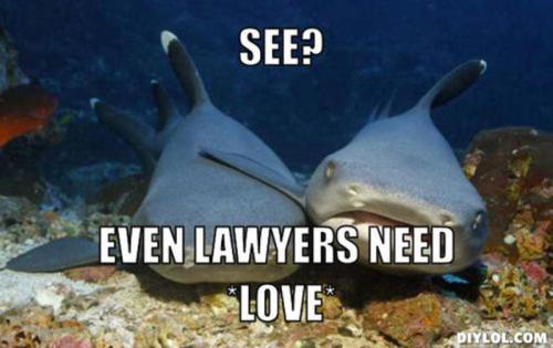 resized_compassionate-shark-friend-meme-generator-see-even-lawyers-need-love-45260a